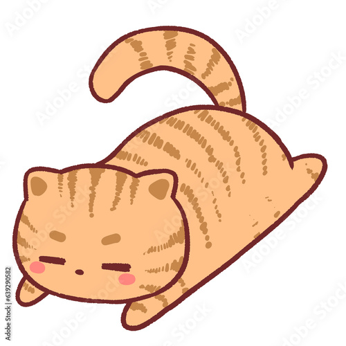 Lazy ginger cat