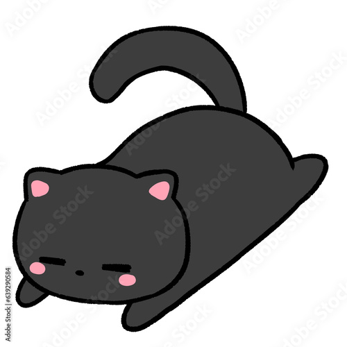 Lazy black cat
