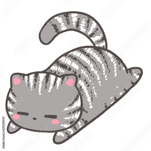 Lazy tabby cat