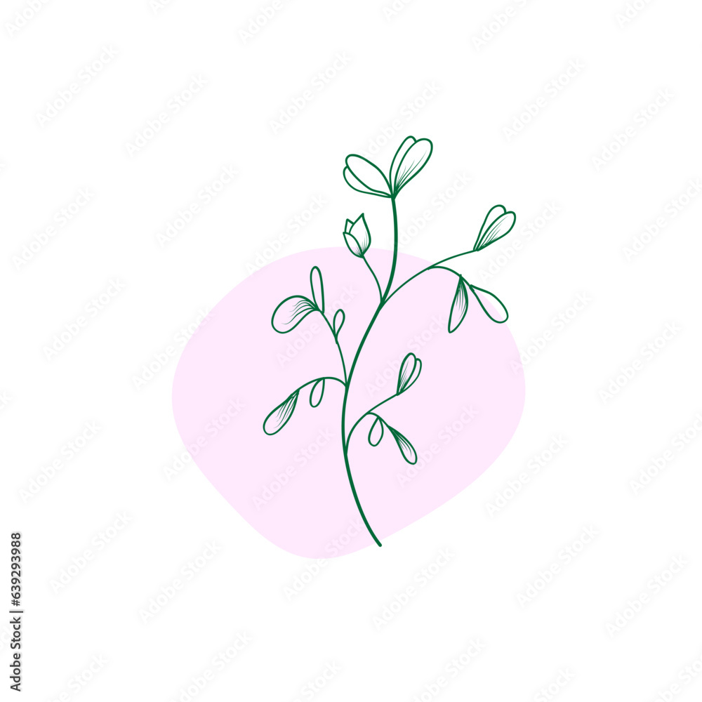 pink and white flowers pink and white flowers