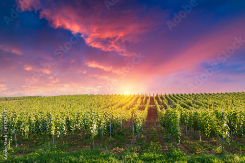 Barrel Wineglasses Cheese And Bottle In Vineyard At Sunset . High quality photo