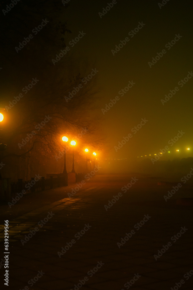 foggy night park foggy night park