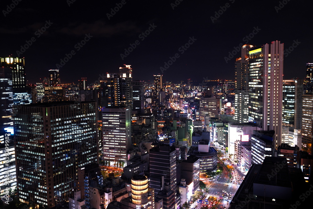 Fototapeta premium 浪速の夜