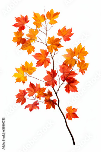Branch with leaves of different colors on it, against white background.