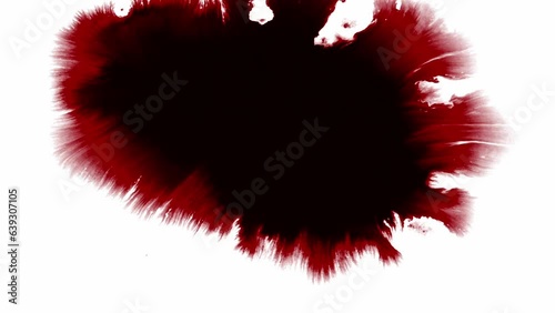 Splashes and crimson red spots of ink or blood spread on white background. Motion graphic photo