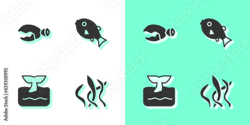 Set Seaweed  Lobster or crab claw  Whale tail in ocean wave and Tropical fish icon. Vector