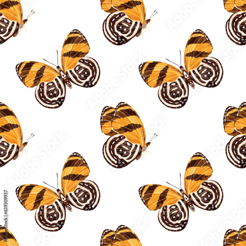 Seamless pattern with orange butterfly-diaethria clymena. Tropical insect. photo