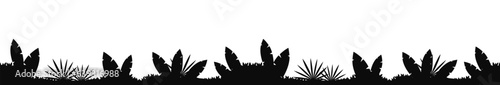 tropical rainforest Jungle silhouette black background