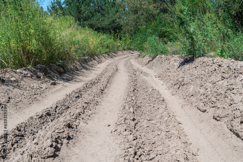 Sand road in the forest. Tire pattern of quad bike on driveway. Track imprint of quadricycle on nature land. Sand texture off road. Path in forest close up. Sand mounds and green forest in sunny day. Sand road in the forest. Tire pattern of quad bike on driveway. Track imprint of quadricycle on nature land. Sand texture off road. Path in forest close up. Sand mounds and green forest in sunny day.