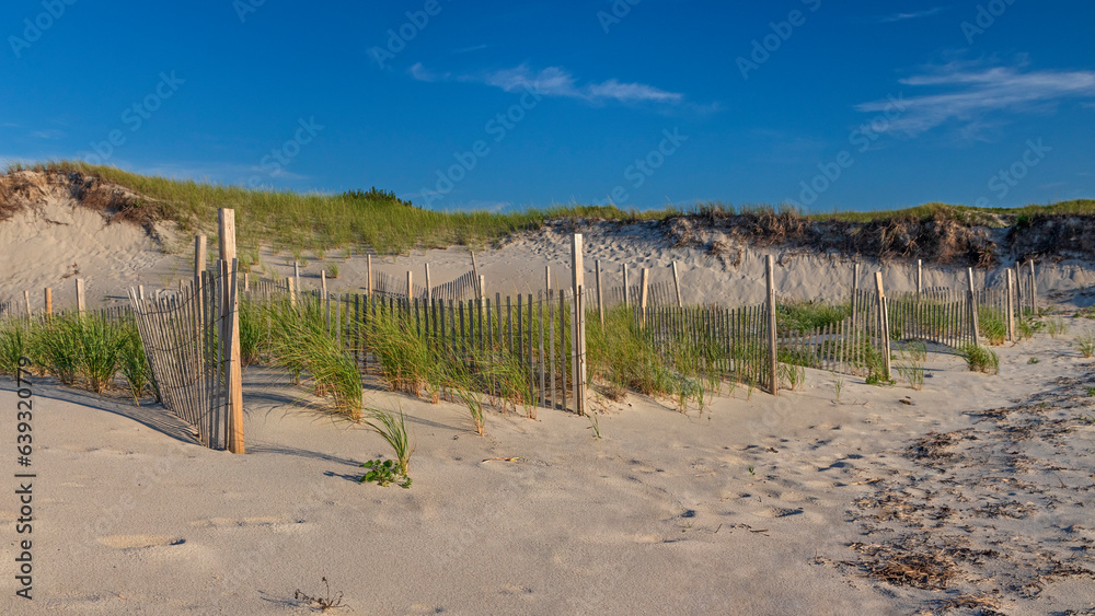 sand dunes and beach fences in late afternoon.