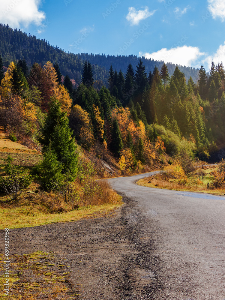 asphalt road in mountains. trip through countryside in autumn. forest in fall foliage on the hillside. sunny weather
