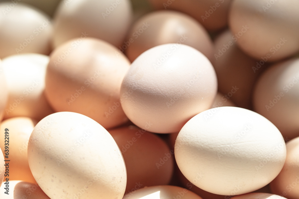 Eggs in a box. Close-up. Eggs in a box. Close-up.