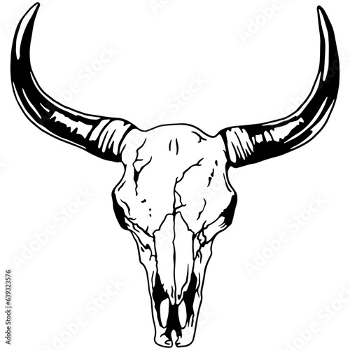 Texas Longhorn bull, Country Western Bull Cattle Vintage Label Logo Design. Vector hand drawing of the head of a bull skull on a white background.