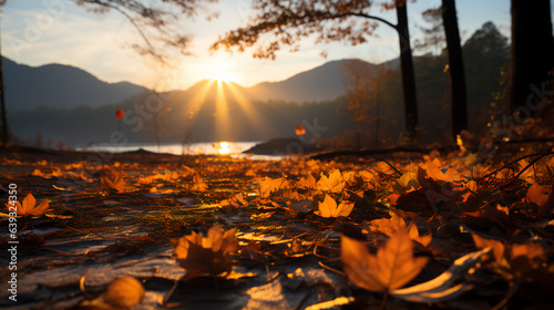 Sunset - golden hour - fall - autumn - peak leaves season - low angle shot - worm’s eye view shot - lake - mountains - inspired by the scenery of western North Carolina 