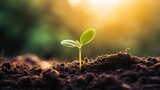  a young plant sprouts from the ground in the sunlight.  generative ai