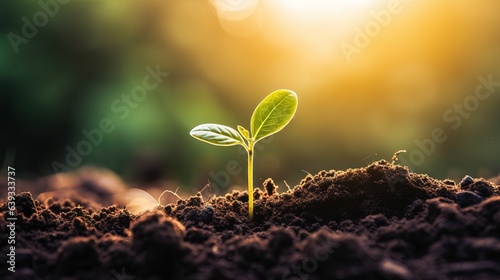  a young plant sprouts from the ground in the sunlight. generative ai