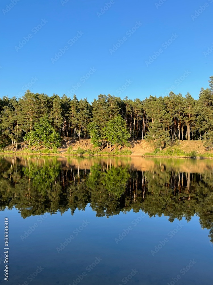 Ideal forest mirror in the lake