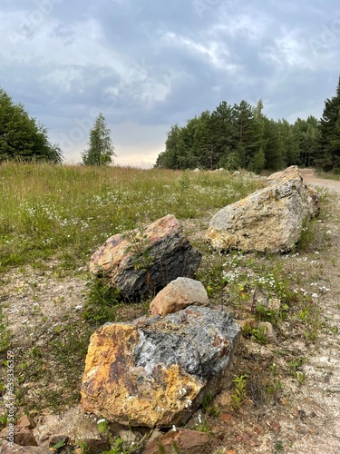 Beautiful stones near the forest