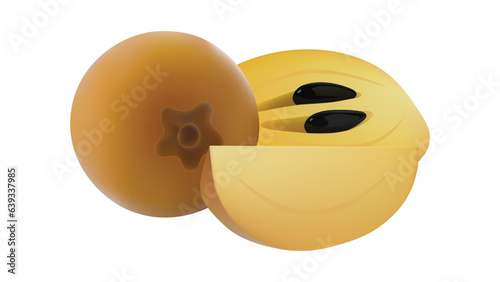 Set of fresh Sapodilla isolated on the white background. whole and slice of sapodilla fruit, Vector illustration
