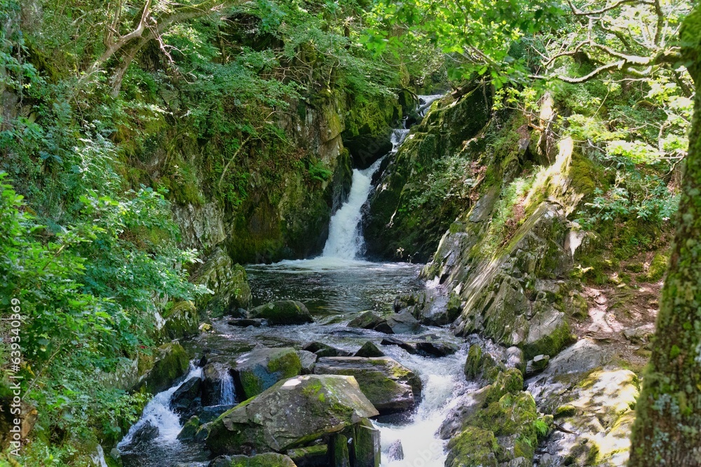 waterfall in the forest waterfall in the forest