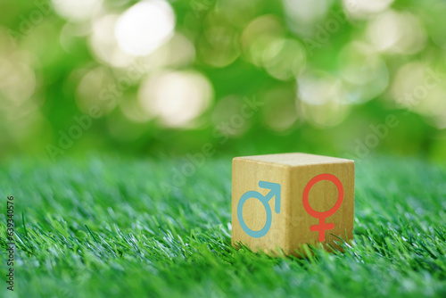 Wooden cube with male and female gender symbols over green bokeh nature environment background. human management, Concept of gender man woman difference, identity and equality.Copy space.