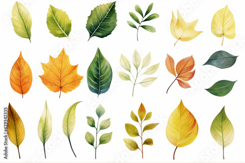 水彩調の植物のイラスト。北欧風の 葉っぱのイラスト。 © DESIGN BOX