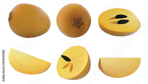 Set of fresh Sapodilla isolated on the white background. whole and slice of sapodilla fruit, Vector illustration