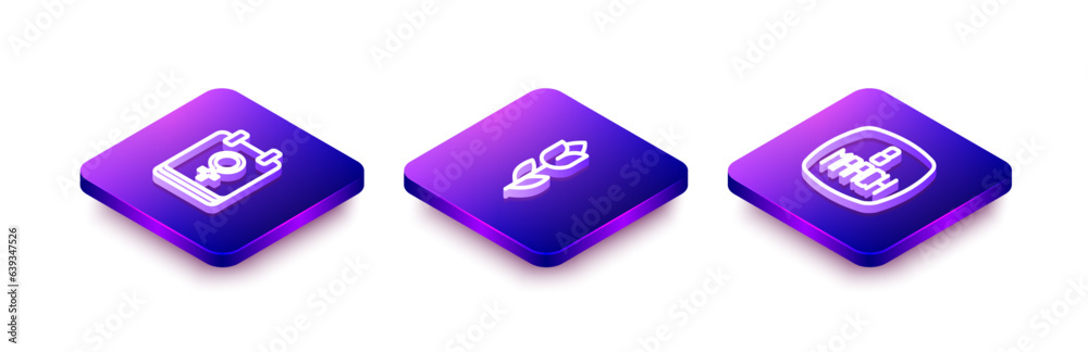 Set Isometric line Calendar with 8 March, Flower tulip and icon. Vector Set Isometric line Calendar with 8 March, Flower tulip and icon. Vector