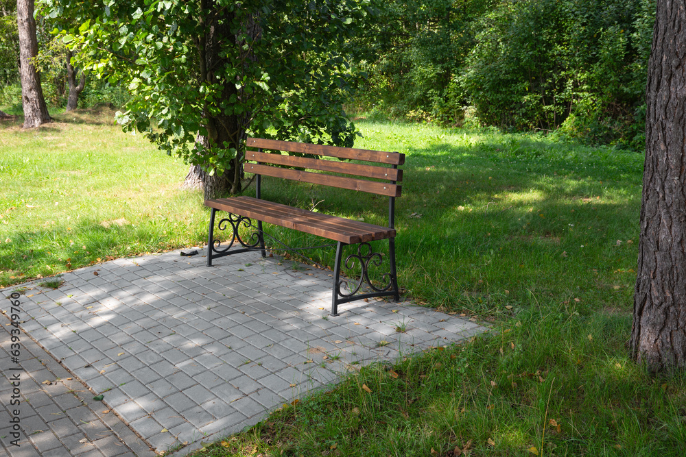 wooden bench in the forest in summer