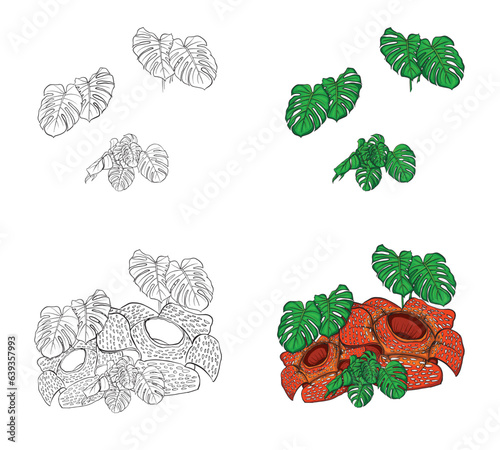 Rafflesia arnoldi decorative flower vector design with additional sketches, usually used for decoration of posters or banners