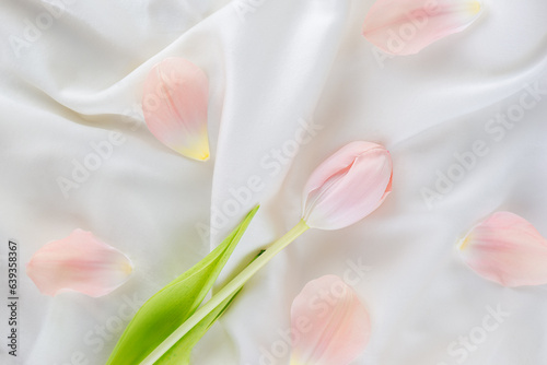 Fototapeta Naklejka Na Ścianę i Meble -  Pink tulip flower with petals on light silk.