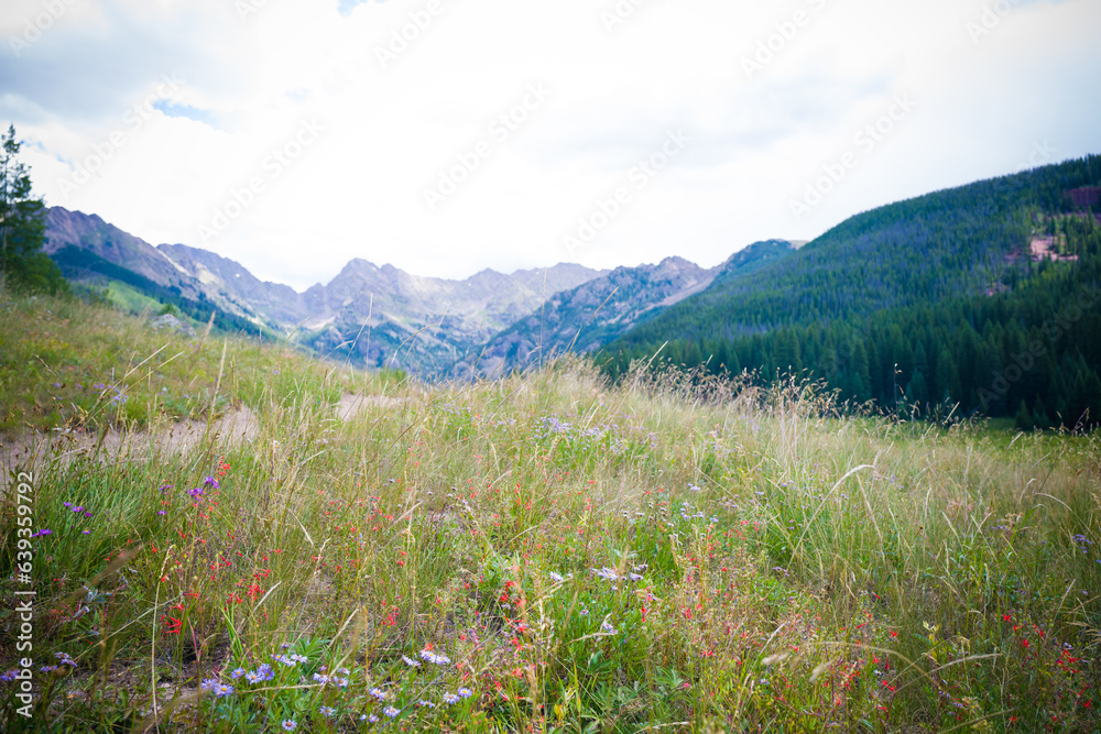 Fototapeta premium Piney Lake Colorado