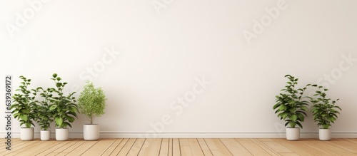 Fototapeta Naklejka Na Ścianę i Meble -  a white walled room with plants on wooden floor