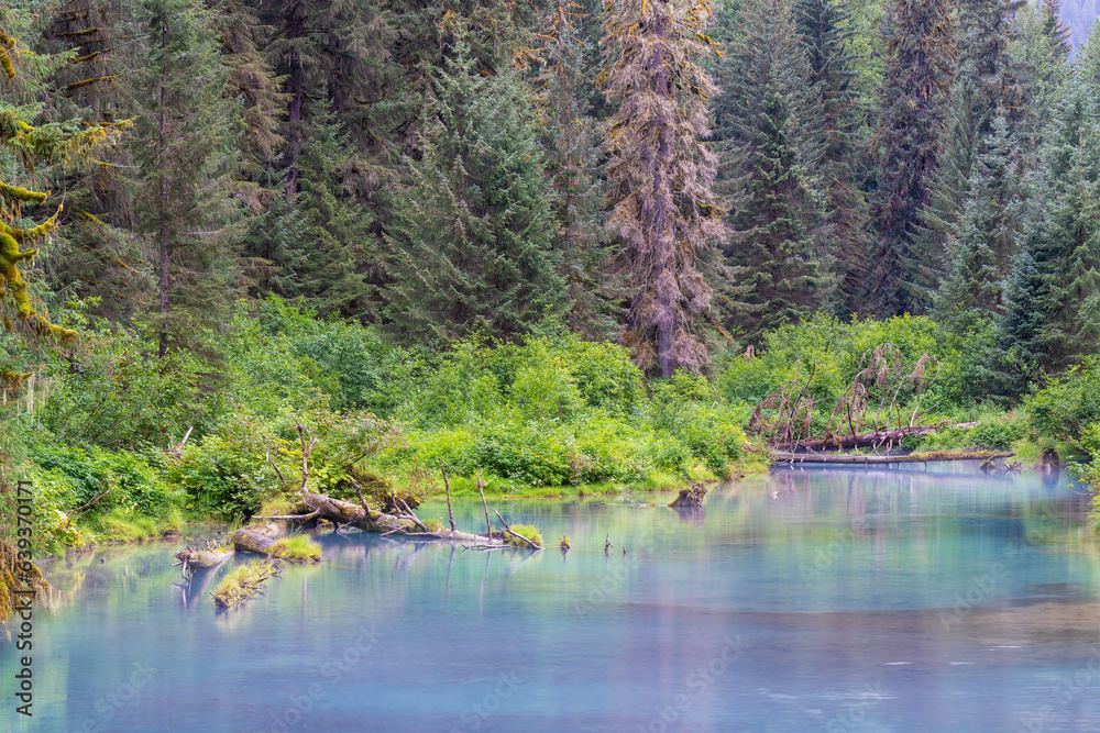 Lagoon in the mist by Fish Creek, Tongass national forest, Alaska, USA. Lagoon in the mist by Fish Creek, Tongass national forest, Alaska, USA.