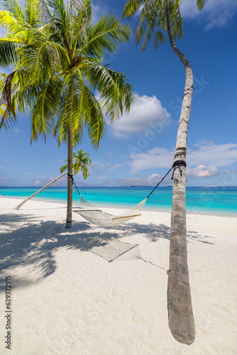 Best panoramic beach vacation wallpaper. Coconut palm with leisure carefree hammock, summertime lifestyle. Exotic destination, sunshine blue sea sky. Top panoramic travel landscape, tranquil amazing