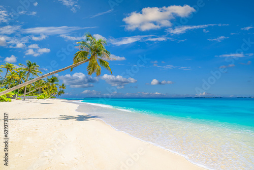 Best travel landscape. Paradise beach tropical island background beautiful palm trees, closeup sea waves sunshine blue sky clouds. Luxury travel summer vacation website design zen inspire wallpaper