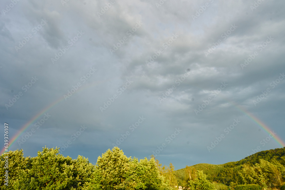 Rainbow over the trees on sunny day Rainbow over the trees on sunny day
