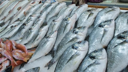 Various raw fish ready for sale at the market. Sea bream, sea bass, red mullet fishes and other laid out on ice
