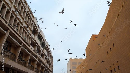 Saudi Arabia view of the old town near  a historical castle in Riyadh city with pigeons flying over and palm trees photo