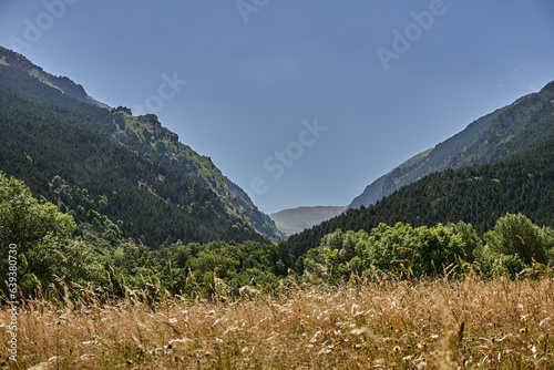Mountain Majesty and dry Cereal Landscape photo