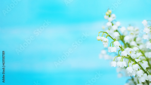 blue background with lily of the valley flowers. bouquet of lilies of the valley close-up. greeting card with fragile lilies of the valley.