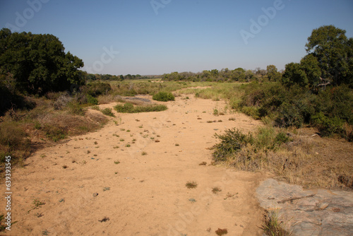 Krüger Park - Afrikanischer Busch - Trockenes Flussbett / Kruger Park - African bush - Dry riverbed /