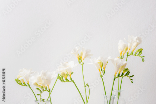 Freesia white flowers in glass vases on white background. Selective focus, copy space