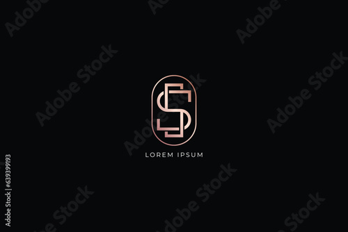 ss letter modern luxury style fashion brand luxury style design modern style creative golden wordmark design typography illustration, ss wordmark, s5 logo photo