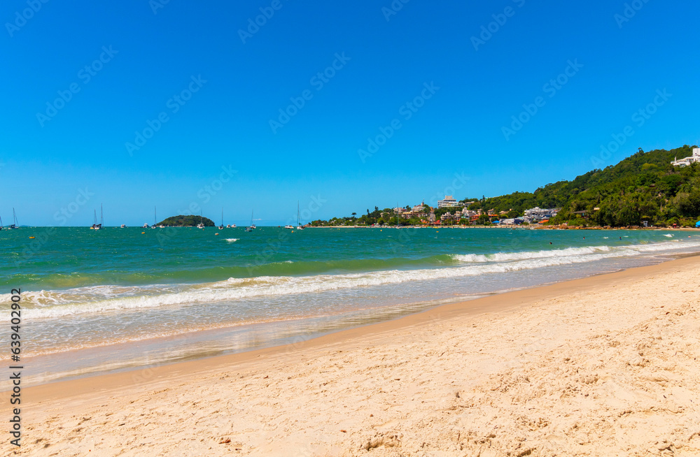beach with palm trees brazil, santa catarina, florianopolis, national and international jurere