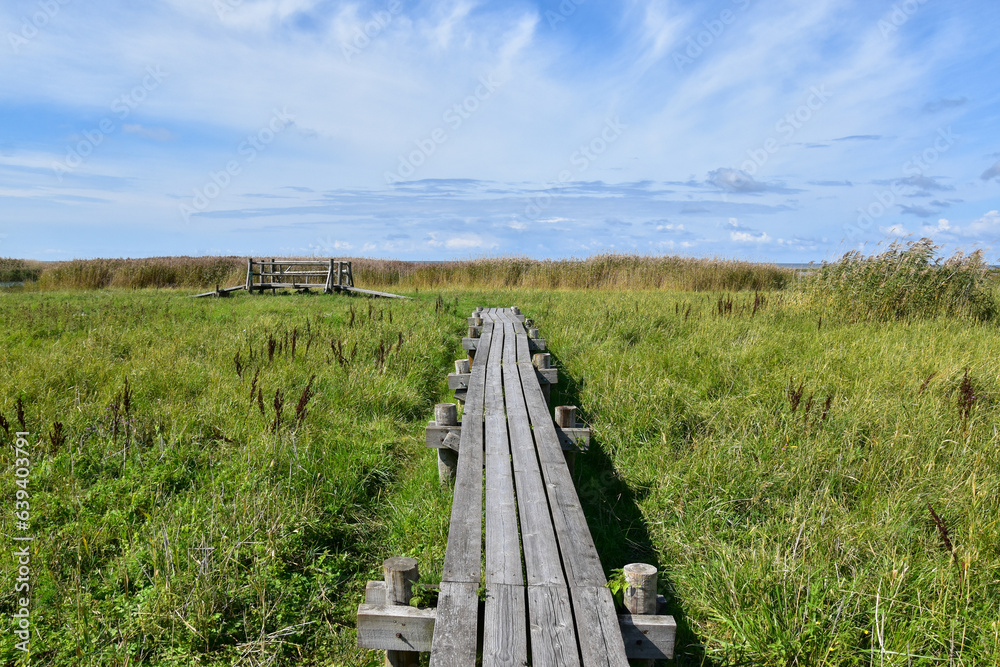 A nature trail with a wooden boardwalk near the sea