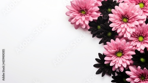 Chrysanthemums with Black Ribbon on White Background, Top View with Text Space photo