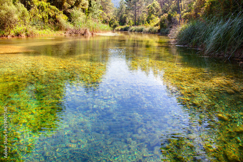 Río en calma con aguas transparentes 
