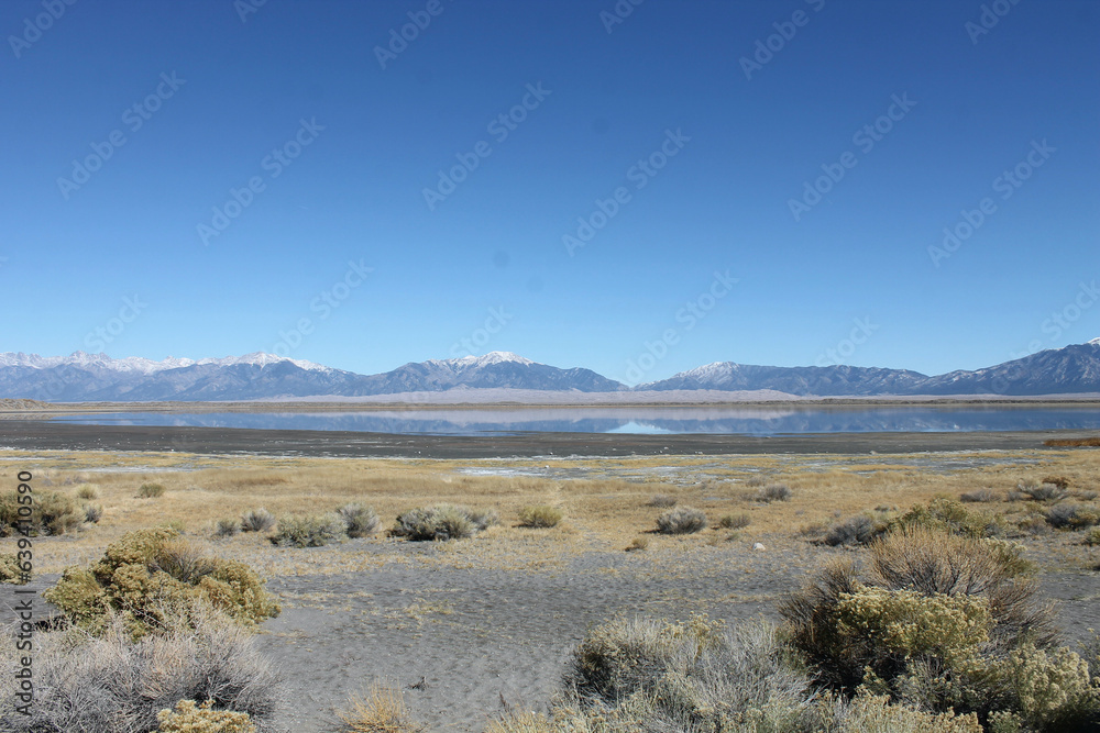 Fototapeta premium park national park