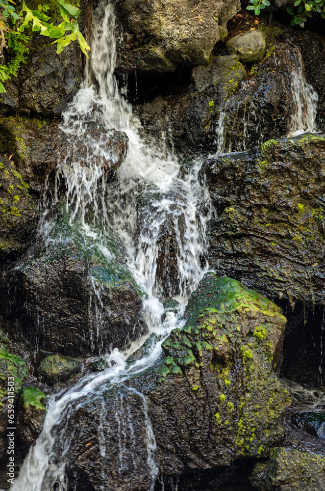 Water Falling on Rocks with Green Plants. Water Falling on Rocks with Green Plants.